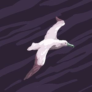 Meet your Posher, Lino